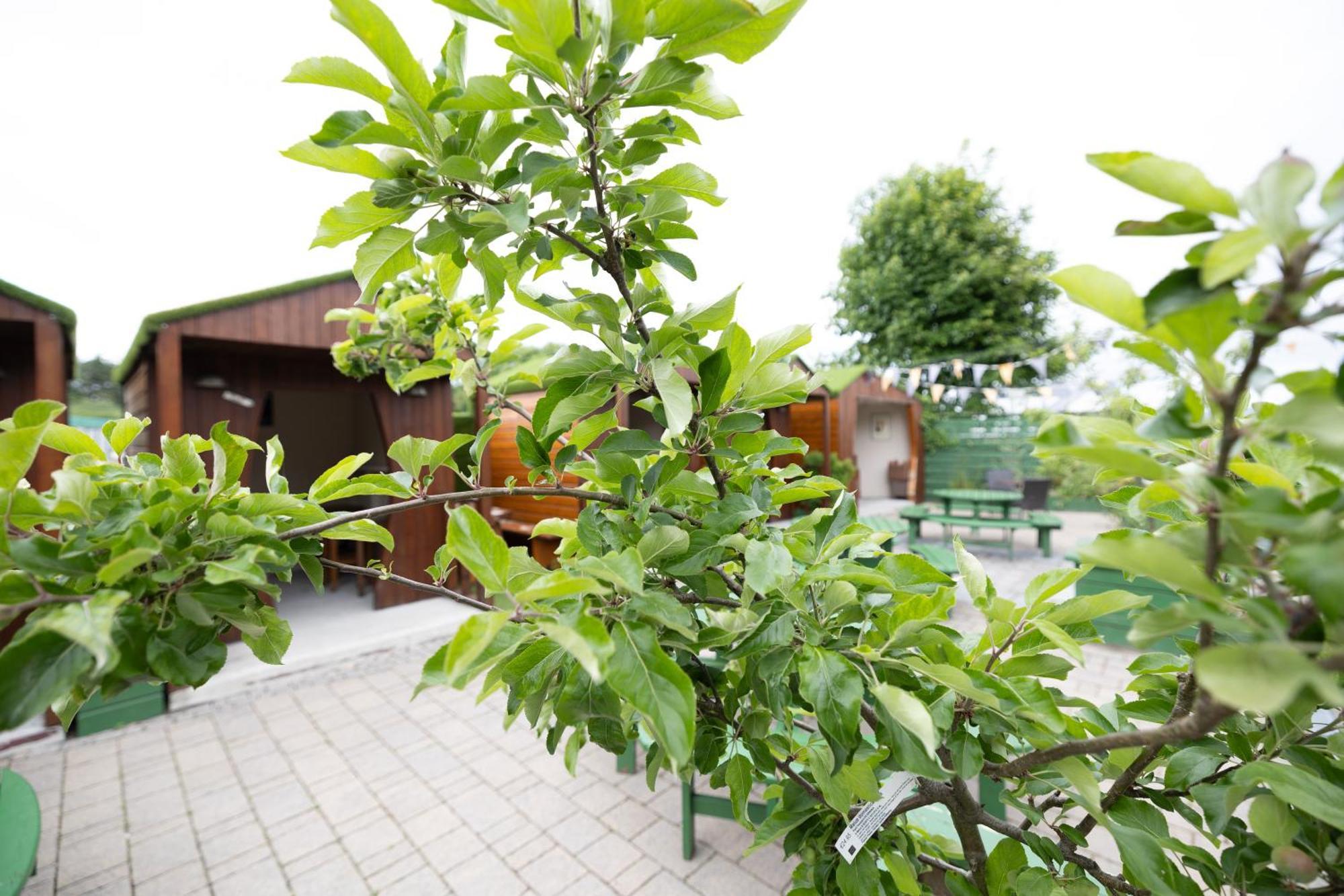 The Orchard House Hotel Kilkenny Kültér fotó